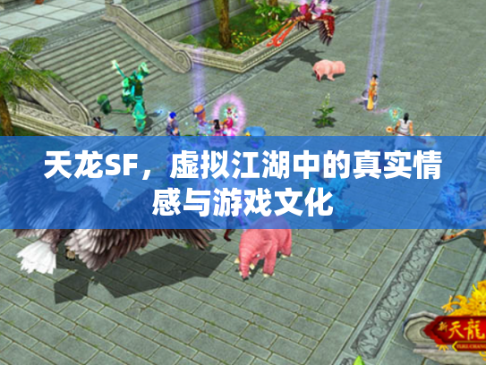 天龙SF，虚拟江湖中的真实情感与游戏文化