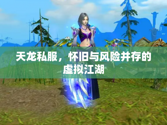 天龙私服，怀旧与风险并存的虚拟江湖