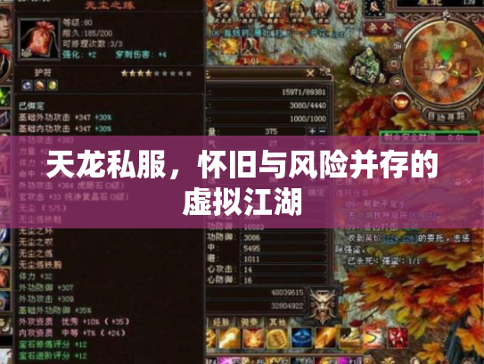 天龙私服，怀旧与风险并存的虚拟江湖