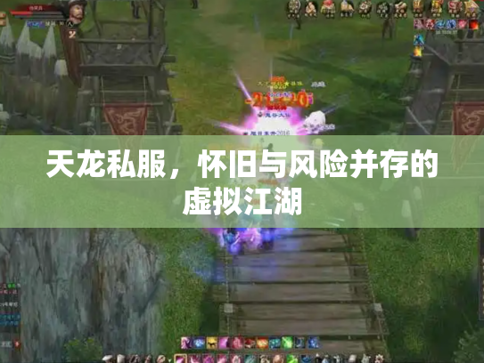 天龙私服，怀旧与风险并存的虚拟江湖
