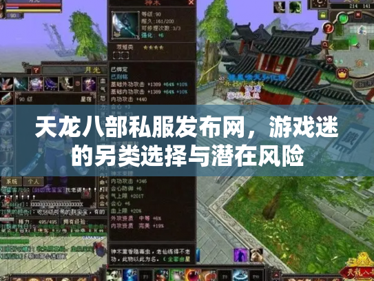 天龙八部私服发布网，游戏迷的另类选择与潜在风险