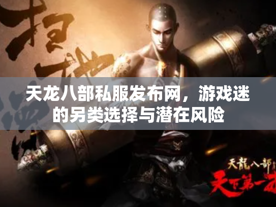 天龙八部私服发布网，游戏迷的另类选择与潜在风险