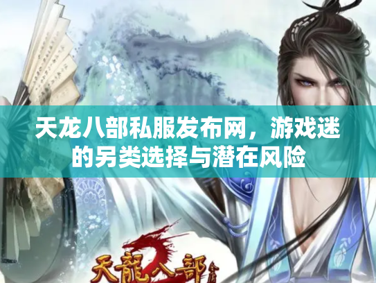 天龙八部私服发布网，游戏迷的另类选择与潜在风险