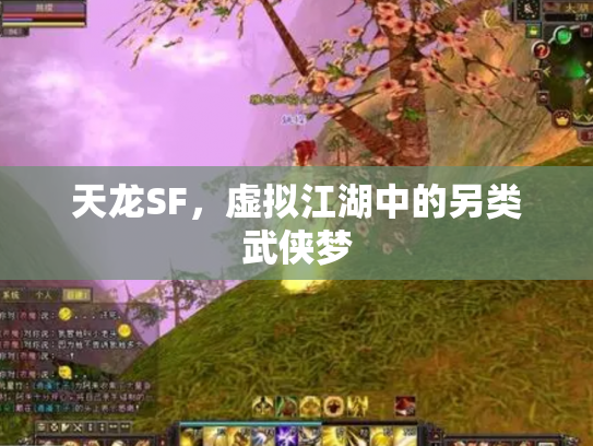 天龙SF，虚拟江湖中的另类武侠梦