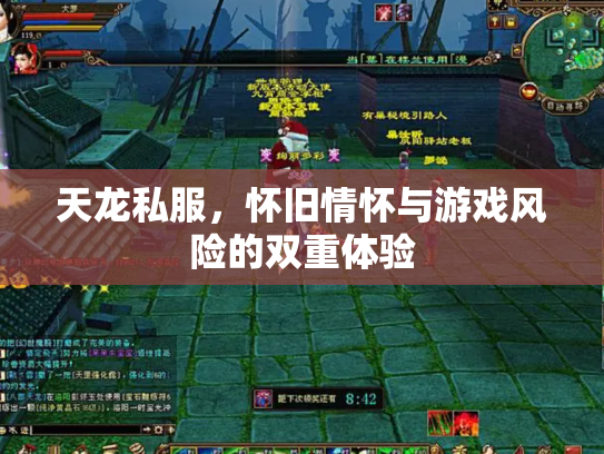 天龙私服，怀旧情怀与游戏风险的双重体验