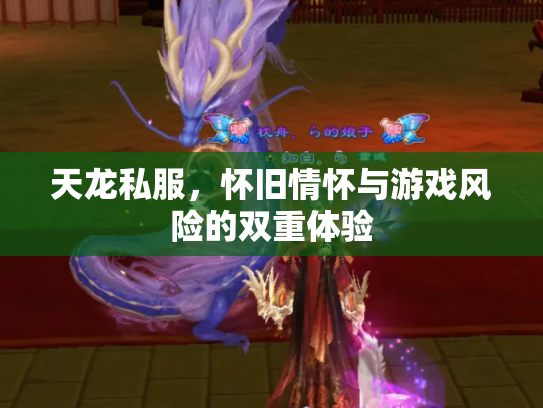 天龙私服，怀旧情怀与游戏风险的双重体验