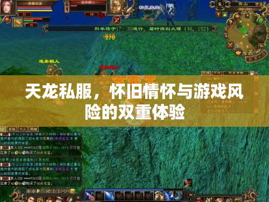 天龙私服，怀旧情怀与游戏风险的双重体验