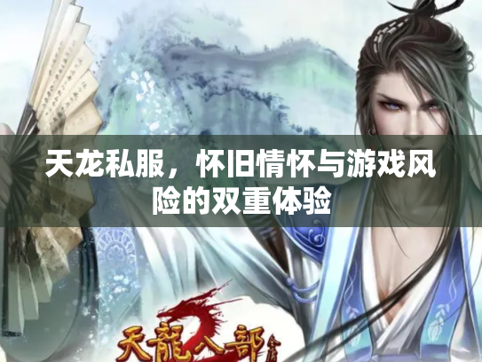 天龙私服，怀旧情怀与游戏风险的双重体验