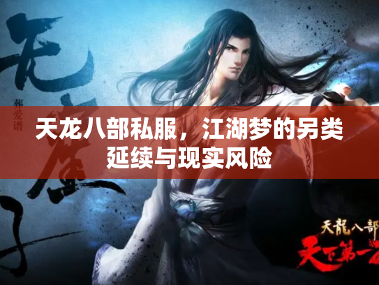 天龙八部私服，江湖梦的另类延续与现实风险