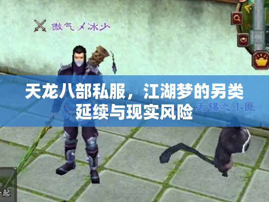 天龙八部私服，江湖梦的另类延续与现实风险