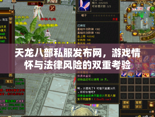 天龙八部私服发布网，游戏情怀与法律风险的双重考验