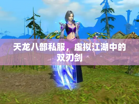 天龙八部私服，虚拟江湖中的双刃剑