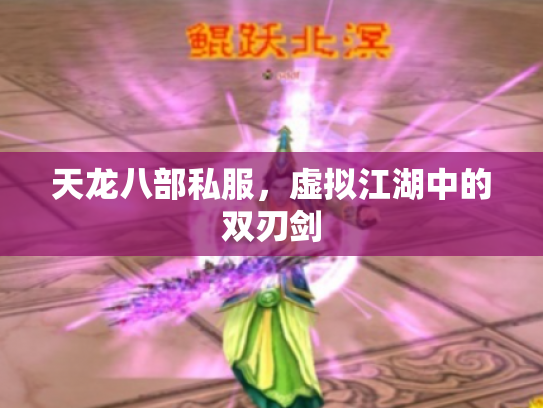 天龙八部私服，虚拟江湖中的双刃剑