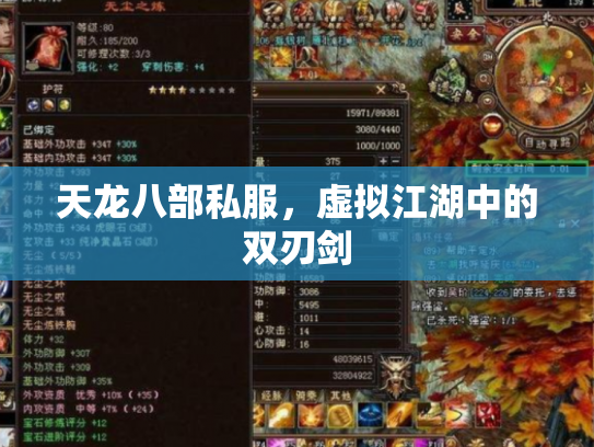 天龙八部私服，虚拟江湖中的双刃剑