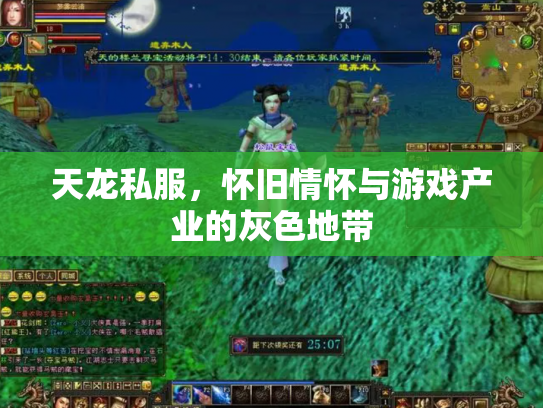 天龙私服，怀旧情怀与游戏产业的灰色地带