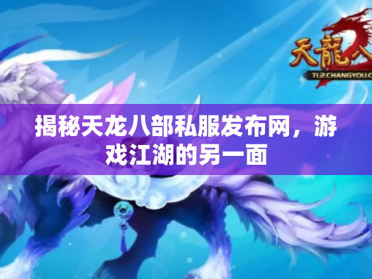 揭秘天龙八部私服发布网，游戏江湖的另一面