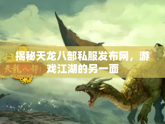 揭秘天龙八部私服发布网，游戏江湖的另一面