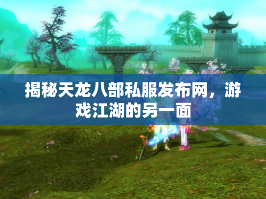 揭秘天龙八部私服发布网，游戏江湖的另一面