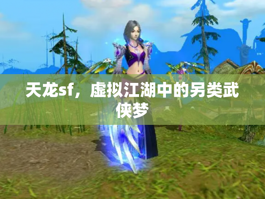 天龙sf，虚拟江湖中的另类武侠梦