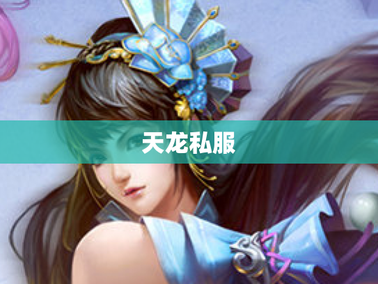 天龙私服