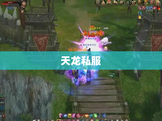 天龙私服