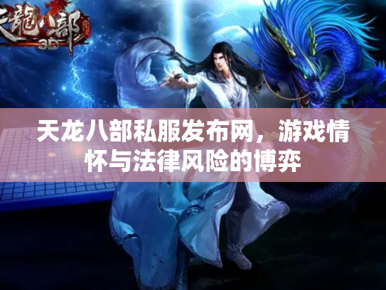 天龙八部私服发布网，游戏情怀与法律风险的博弈