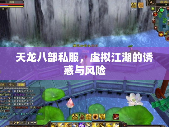 天龙八部私服，虚拟江湖的诱惑与风险