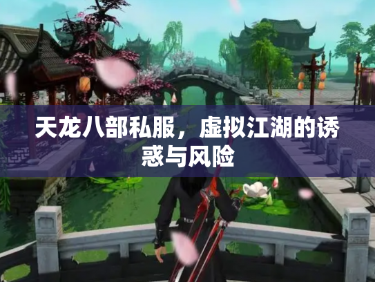 天龙八部私服，虚拟江湖的诱惑与风险