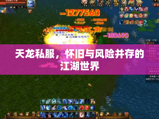 天龙私服，怀旧与风险并存的江湖世界