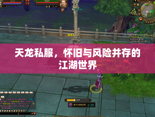 天龙私服，怀旧与风险并存的江湖世界