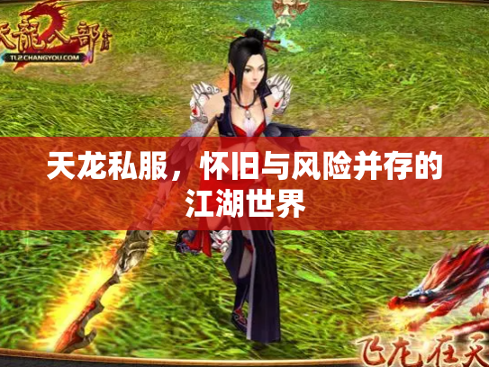 天龙私服，怀旧与风险并存的江湖世界