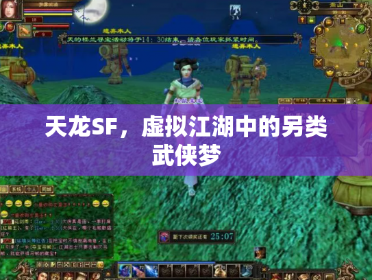 天龙SF，虚拟江湖中的另类武侠梦
