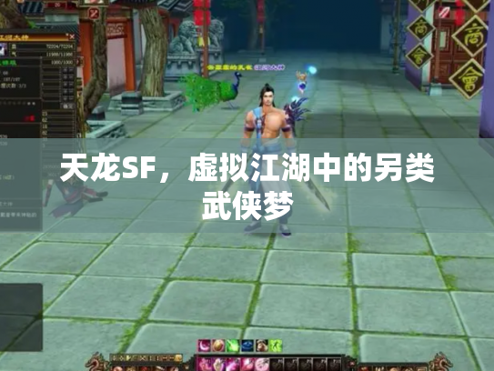 天龙SF，虚拟江湖中的另类武侠梦