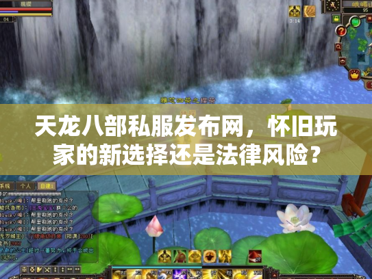 天龙八部私服发布网，怀旧玩家的新选择还是法律风险？