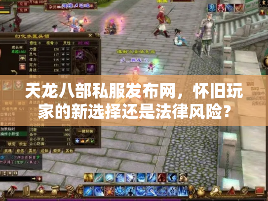 天龙八部私服发布网，怀旧玩家的新选择还是法律风险？
