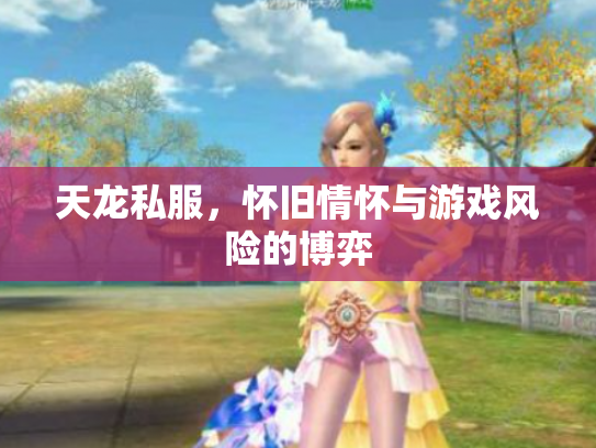 天龙私服，怀旧情怀与游戏风险的博弈