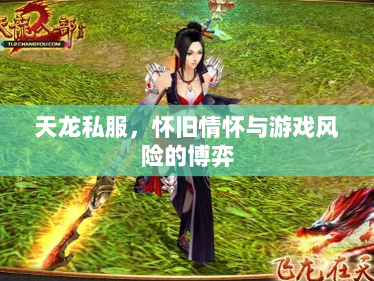天龙私服，怀旧情怀与游戏风险的博弈