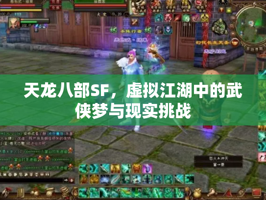 天龙八部SF，虚拟江湖中的武侠梦与现实挑战
