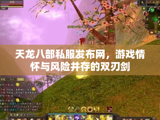 天龙八部私服发布网，游戏情怀与风险并存的双刃剑