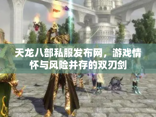 天龙八部私服发布网，游戏情怀与风险并存的双刃剑