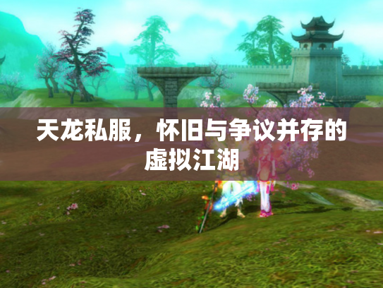 天龙私服，怀旧与争议并存的虚拟江湖