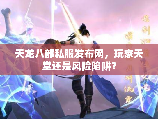 天龙八部私服发布网，玩家天堂还是风险陷阱？