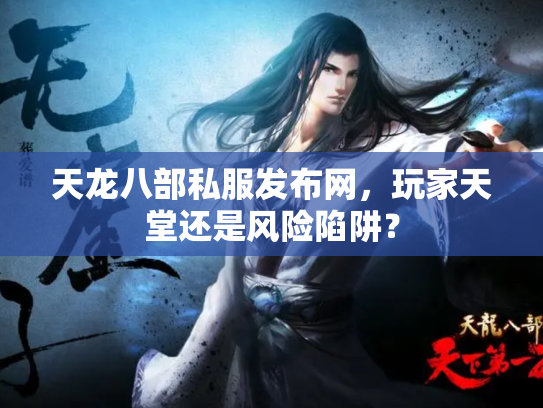 天龙八部私服发布网，玩家天堂还是风险陷阱？