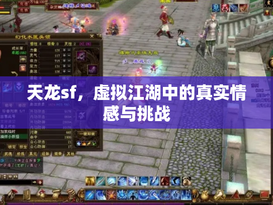 天龙sf，虚拟江湖中的真实情感与挑战
