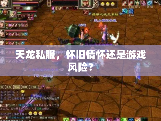 天龙私服，怀旧情怀还是游戏风险？