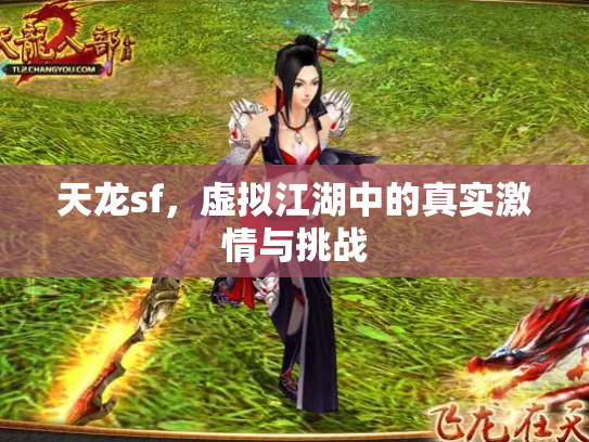 天龙sf，虚拟江湖中的真实激情与挑战