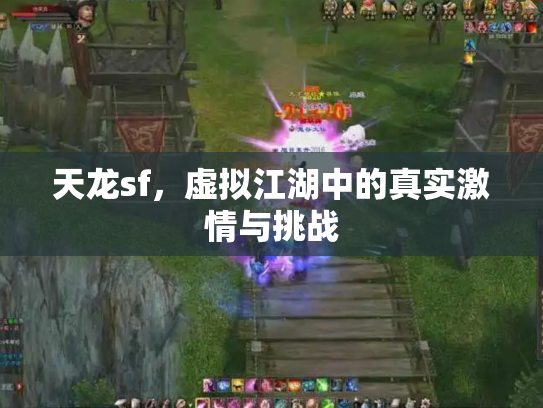天龙sf，虚拟江湖中的真实激情与挑战