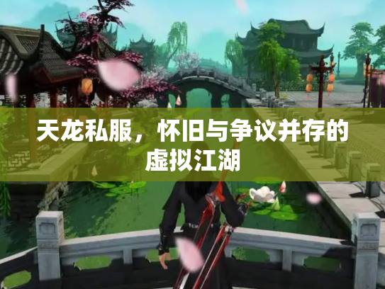 天龙私服，怀旧与争议并存的虚拟江湖