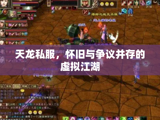 天龙私服，怀旧与争议并存的虚拟江湖