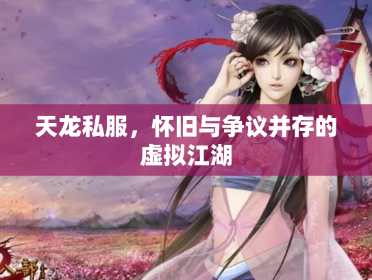 天龙私服，怀旧与争议并存的虚拟江湖